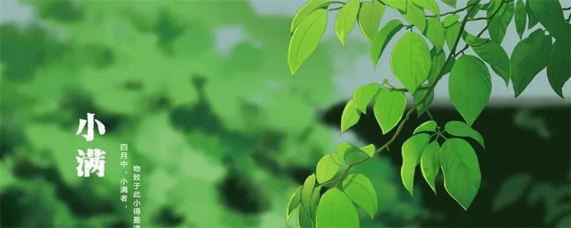 小满节气的含义是什么  小满节气的含义是什么呢