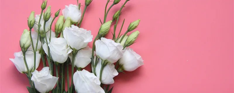 喜出望外的意思是什么