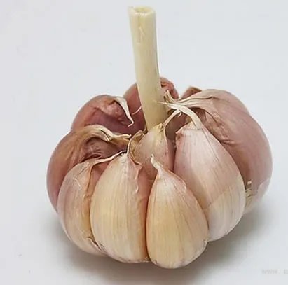 大蒜的正确吃法竟99%人都弄错：涨知识（图）