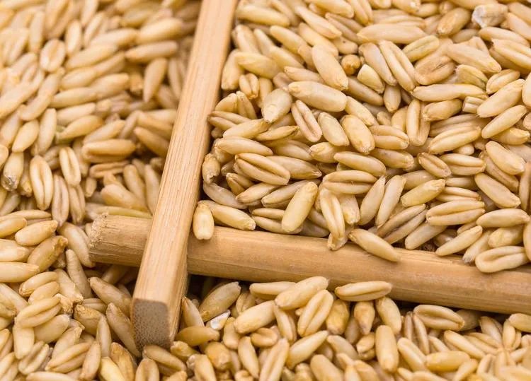 燕麦米的功效与作用