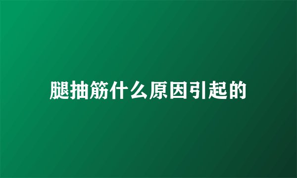 腿抽筋什么原因引起的