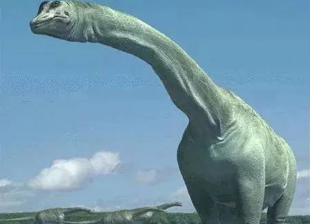 恐龙的名字和特征有哪些？