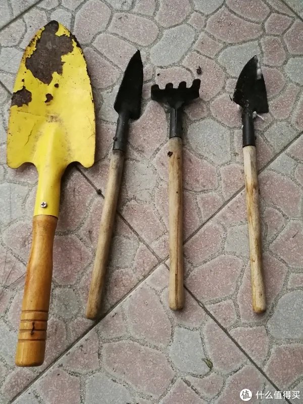 #原创新人#简简单单的阳台种菜，赶紧给自己开辟一个有机蔬菜园吧！