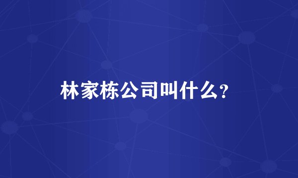 林家栋公司叫什么？