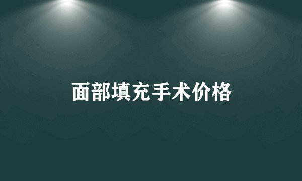 面部填充手术价格