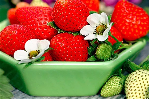 癌细胞最怕什么水果