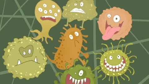 细菌性感冒怎么办