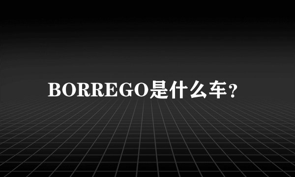 BORREGO是什么车？