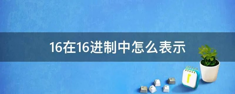 16在16进制中怎么表示