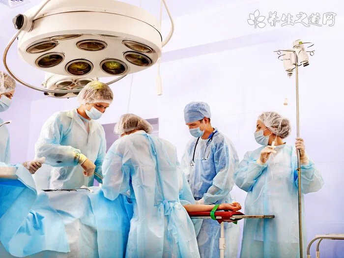 贵宾狗什么时候绝育好