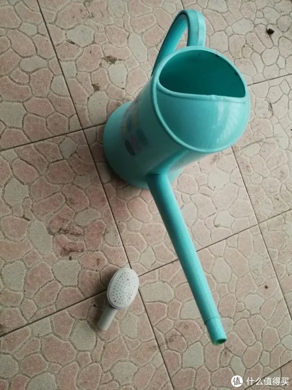 #原创新人#简简单单的阳台种菜，赶紧给自己开辟一个有机蔬菜园吧！