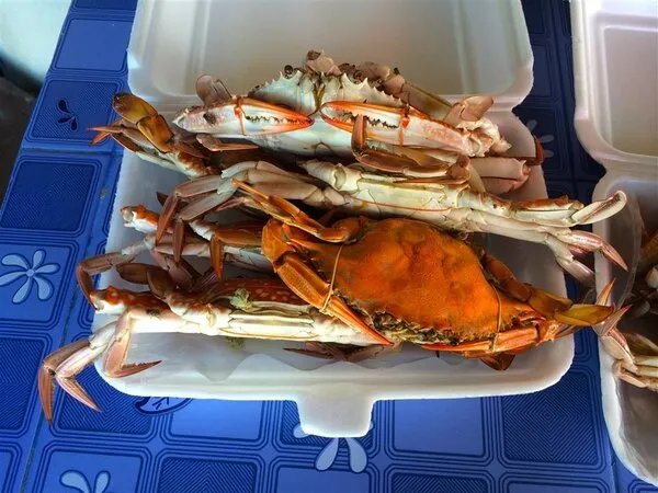 螃蟹蒸多长时间好吃螃蟹蒸多久