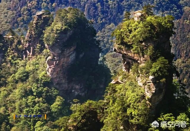 天门山国家森林公园  武陵源风景区区别