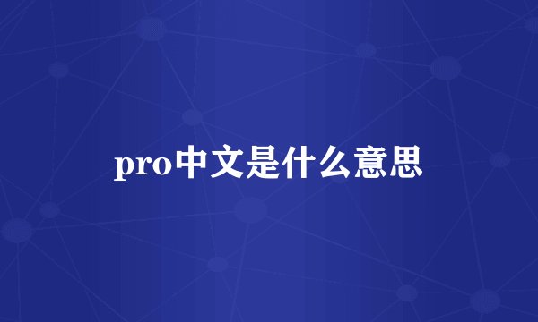 pro中文是什么意思