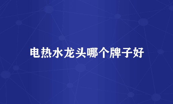电热水龙头哪个牌子好