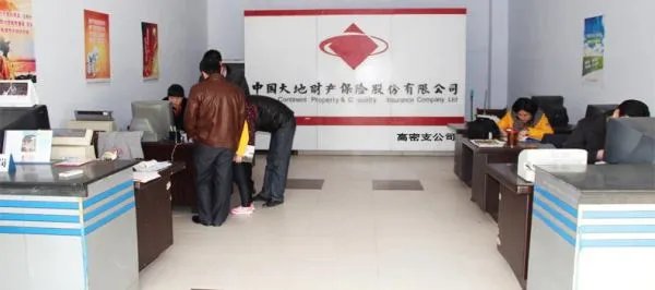 中国大地财产保险股份有限公司的成就