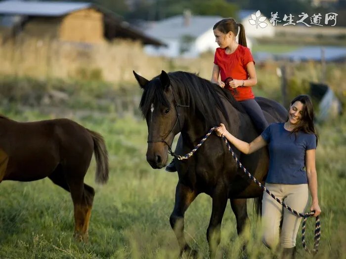 泾渭茯茶怎么泡？清饮和调饮你喜欢那种？