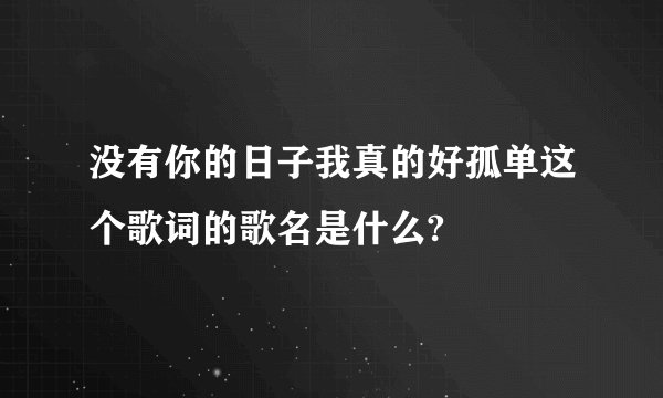 没有你的日子我真的好孤单这个歌词的歌名是什么?