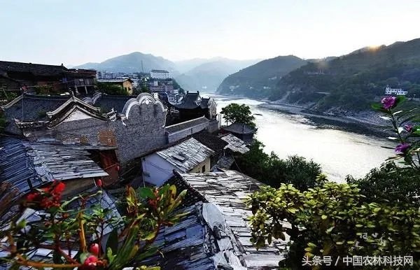 旬阳市有前途吗