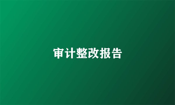 审计整改报告