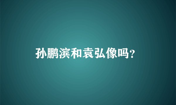 孙鹏滨和袁弘像吗？