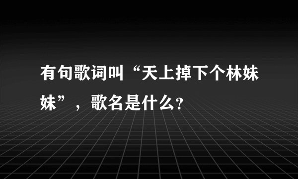 有句歌词叫“天上掉下个林妹妹”，歌名是什么？