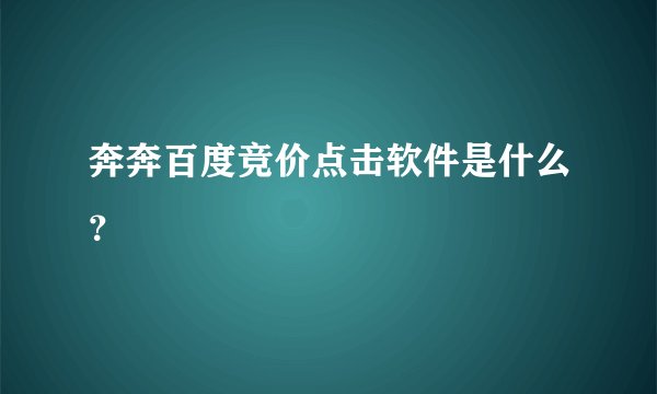 奔奔百度竞价点击软件是什么？
