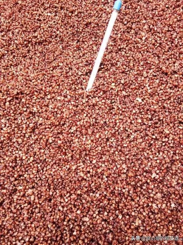 请问茅台酒收藏到底有没有价值？如果有，我们该收藏什么样的茅台酒才增值？