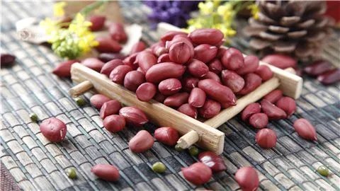 哺乳期吃什么下奶多