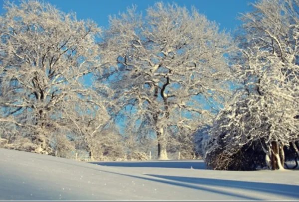 英国热水袋销量激增超200%,还有哪些取暖神器火遍欧洲?