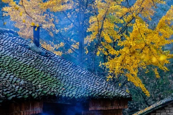 关于思乡的诗句 关于思乡的诗有哪些