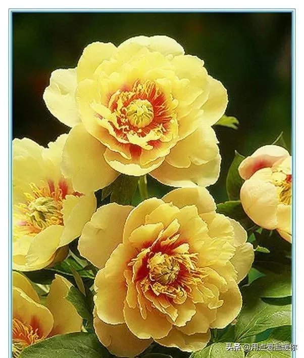 3月13日2021年上半年教师资格证考试开考，你考得怎么样？今年难度如何？