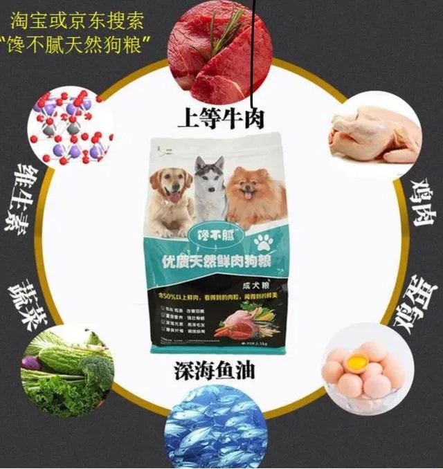 如果把狗狗自己放到陌生环境中