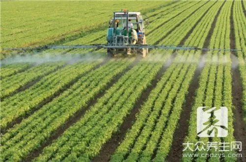 磷酸二氢钾使用方法有哪些呢？