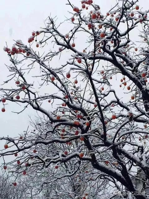 今年西安下雪为什么会这么早？会不会预示今年将会有极端天气出现？