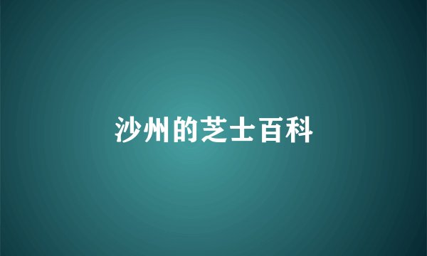 沙州的芝士百科