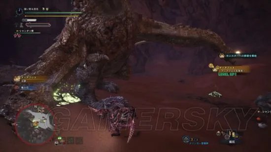 《怪物猎人世界》角龙弱点及打法讲解 角龙怎么打