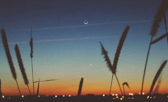 金星伴月图片 最新金星伴月浪漫壮观图集