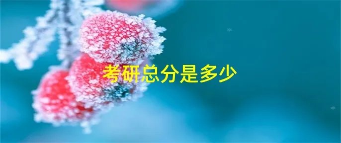 考研总分是多少