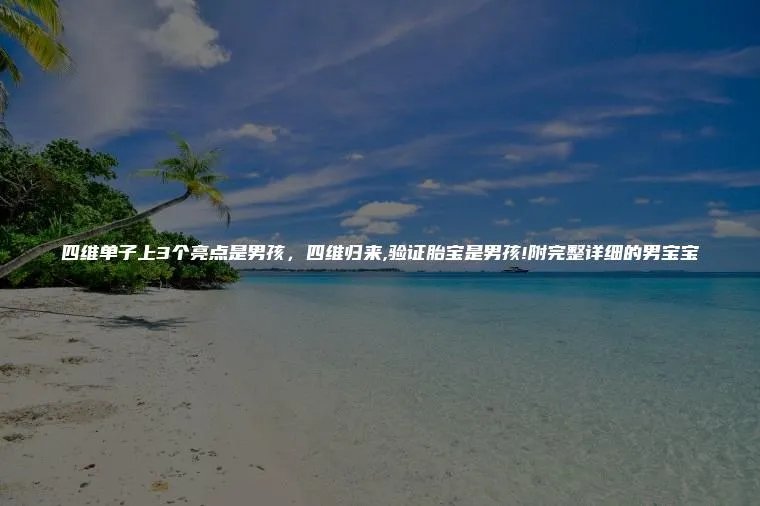 四维单子上3个亮点是男孩，四维归来,验证胎宝是男孩!附完整详细的男宝宝