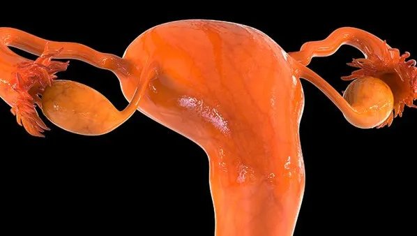 不孕不育的原因