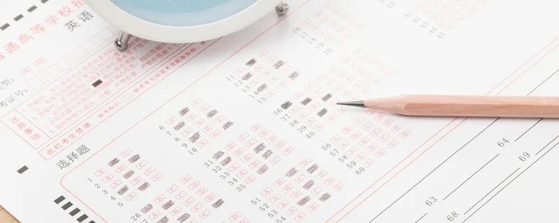 成人高考成绩查询时间