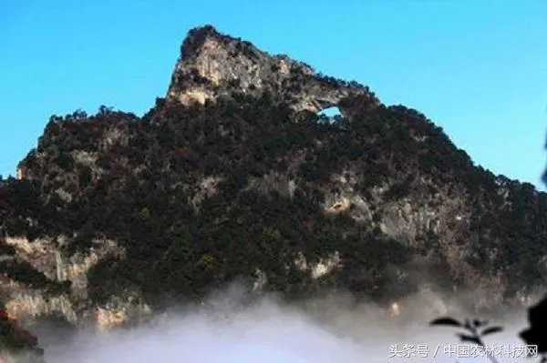 旬阳市有前途吗