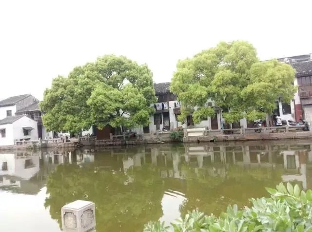 同里古镇好玩么？