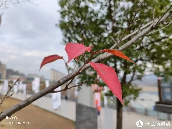 小米11手机详细参数配置介绍