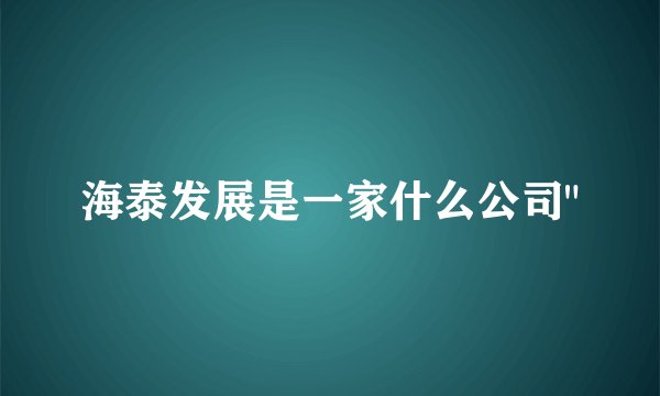 海泰发展是一家什么公司