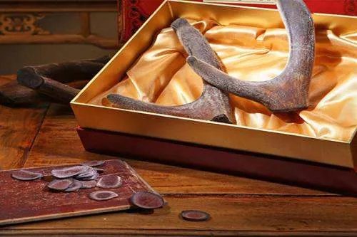 鹿茸的功效与作用及食用方法