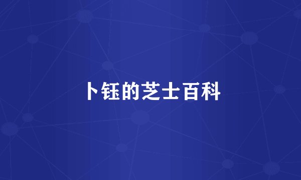 卜钰的芝士百科