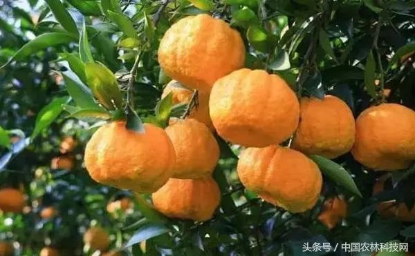 旬阳市有前途吗