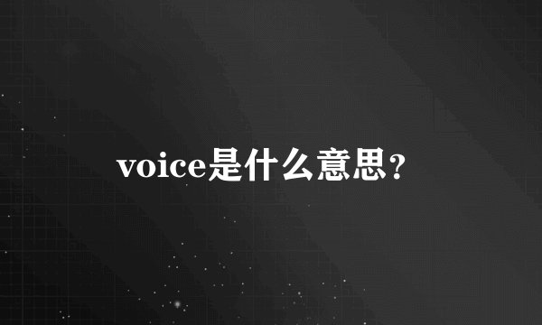 voice是什么意思？